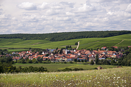   Obereisenheim
